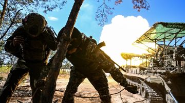 Подполье: под Сумами уничтожены подразделения ВСУ, шедшие к Курской области