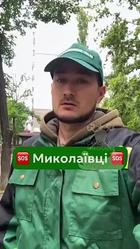 В Николаеве неизвестные снова похитили высаженные коммунальщиками цветы