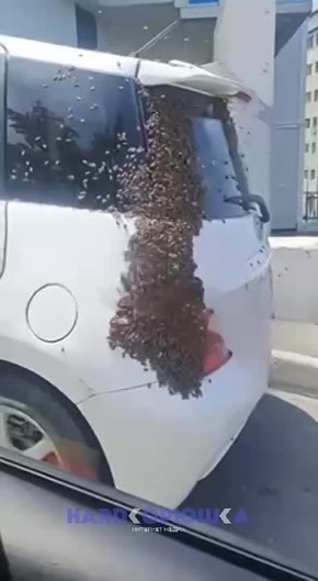        ,     ,       