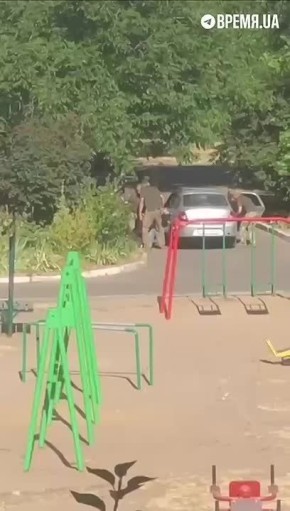  :     ,      