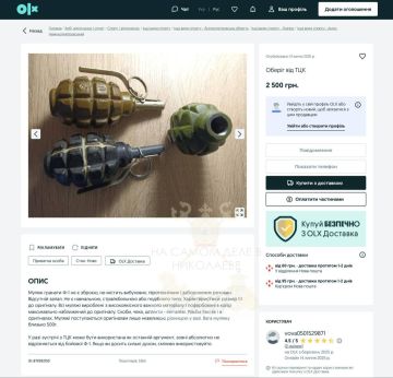        OLX