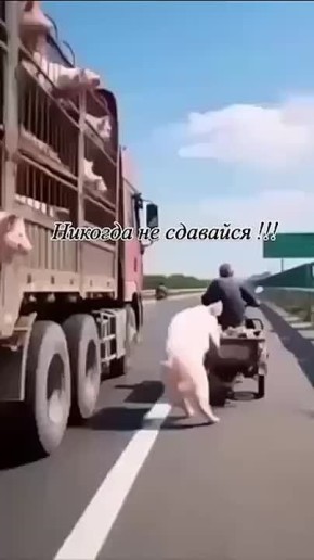  , !.      !     :