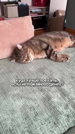 , !.      !     :