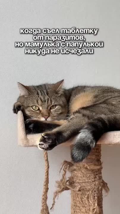 , !.      !     :