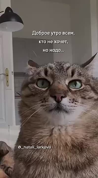  , !.      !     :