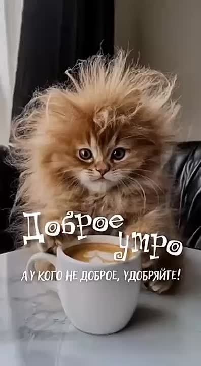  , !.      !     :