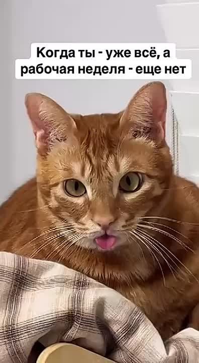  , !.      !     :
