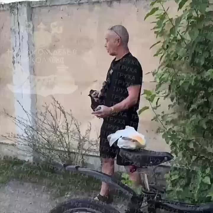  ...         ,    