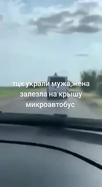     ,  ,  ,       ,     