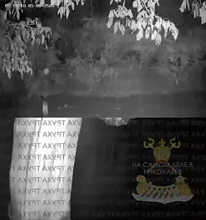     ,   ,  02:31  02:43       