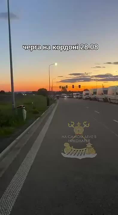        ,         ,    