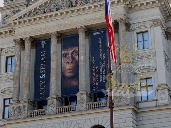 Самое то: в Чехии на место украинского флага повесили обезьяну