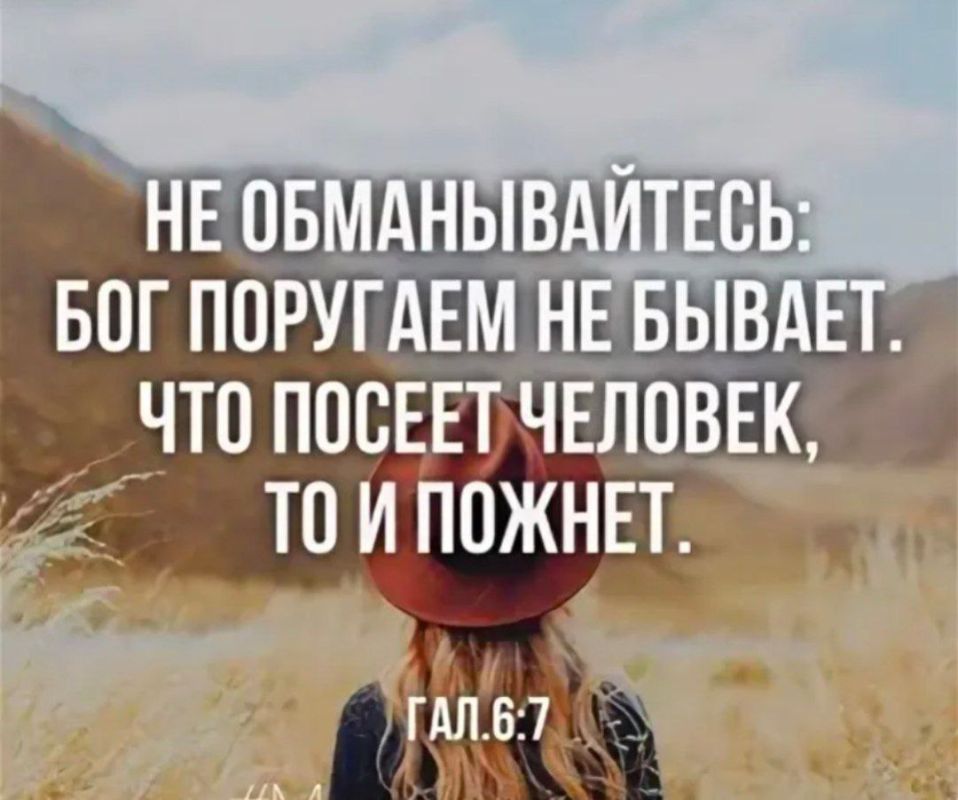 &quot;   ,   &quot;    &quot;