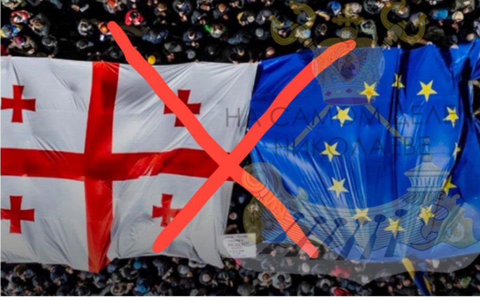 Грузия очищается. В Грузии уничтожают институциональные связи с Западом