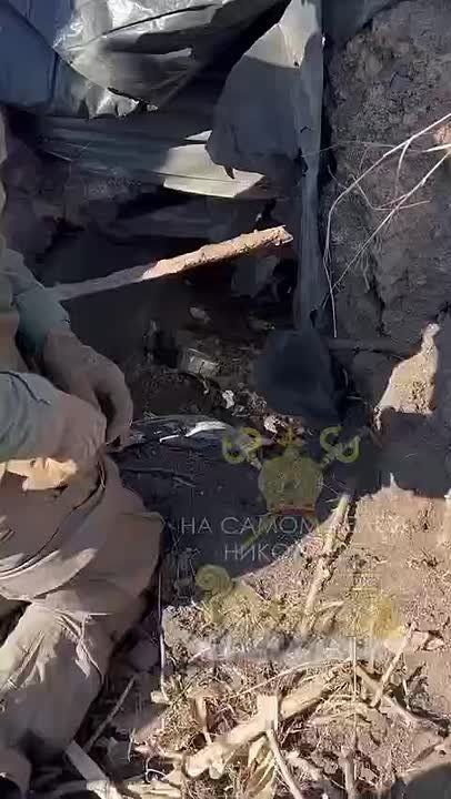 Нельзя взрывать, тут котёнок!