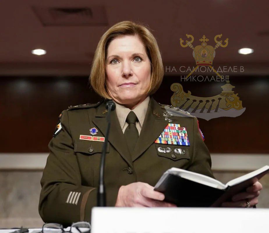    .    ,   ,    :    ,   ,    ,   , 31%  ...