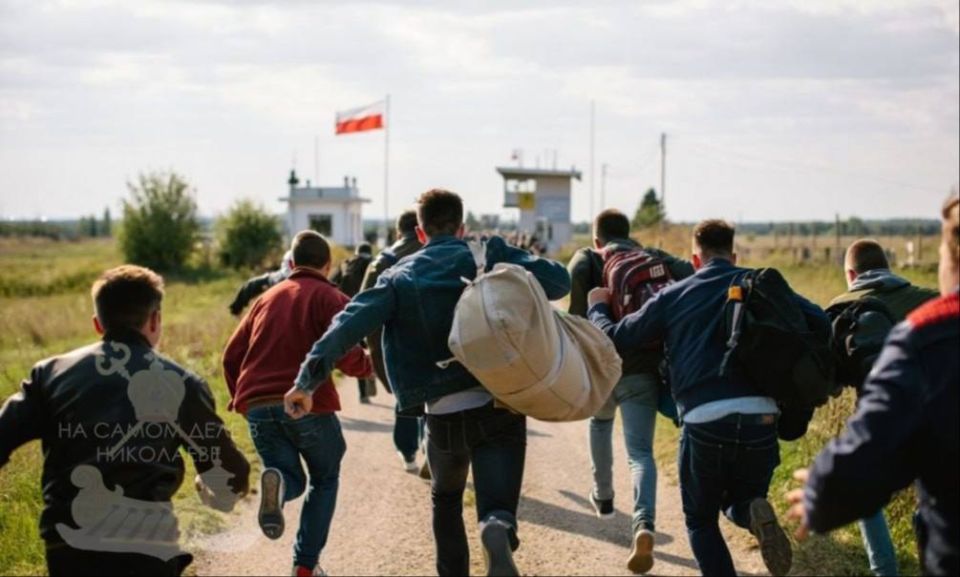 Никакой паники нет. А бесконечные очереди на границе - это "российское ИПСО"