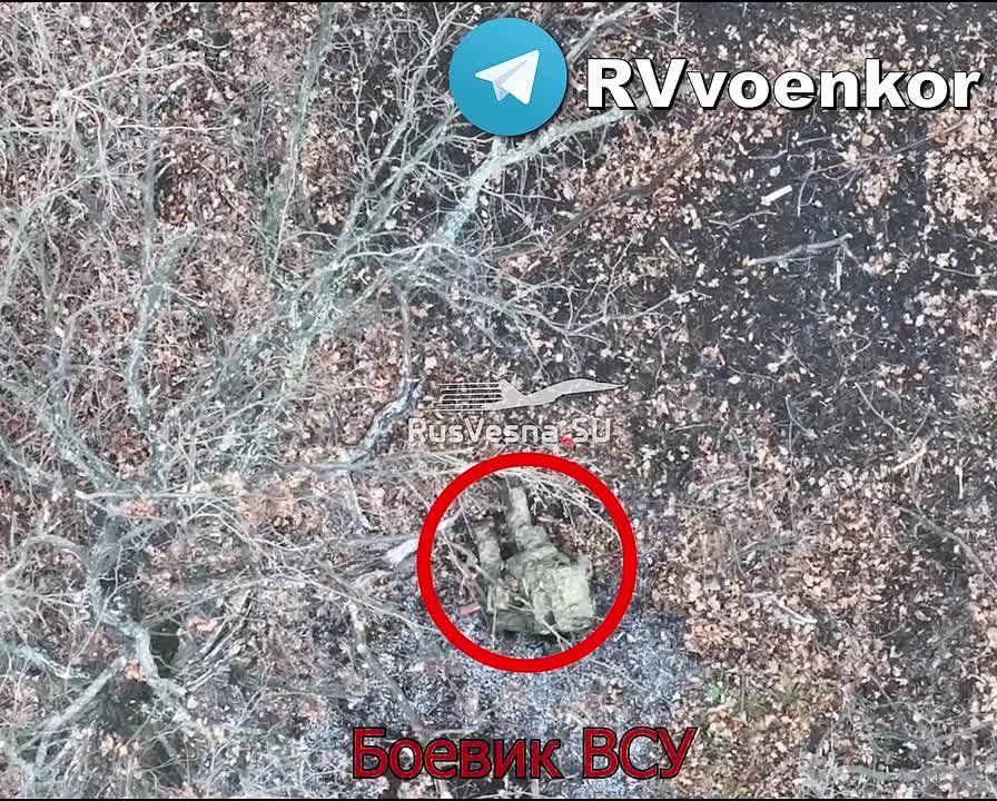 Наступление за Часов Яром: десант уничтожает пехоту и укрепления врага, продвигаясь вперёд