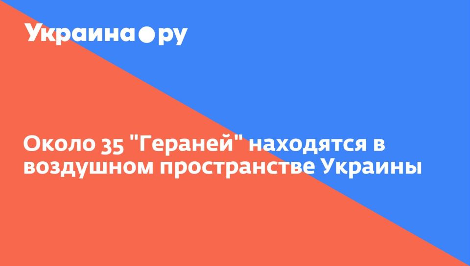 Около 35 "Гераней" находятся в воздушном пространстве Украины