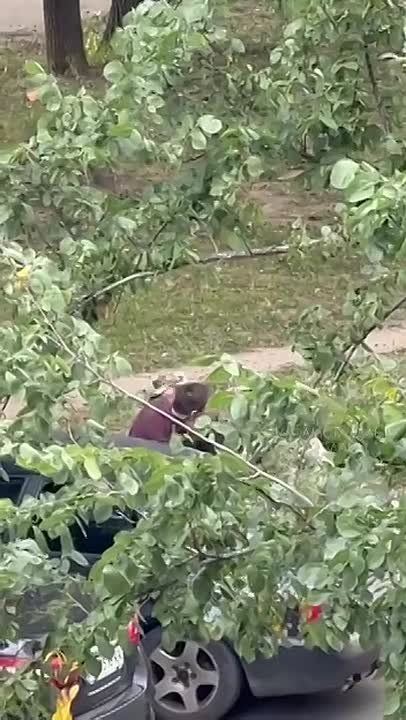 Видите боди-камеры на военкомах? Вот и я не вижу