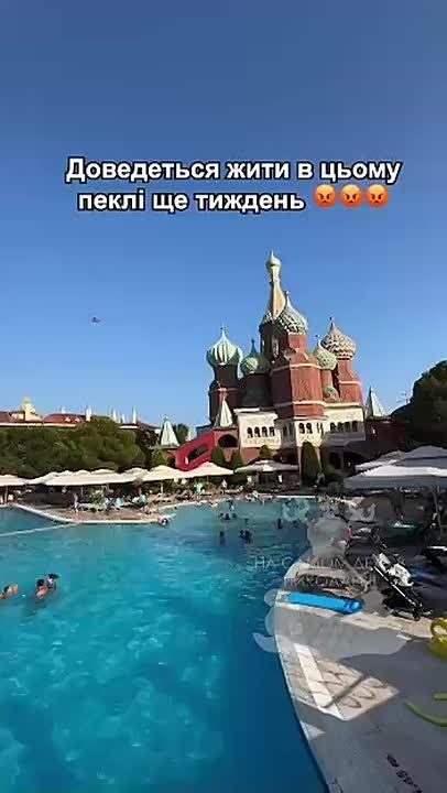  -.    ,   ,         :  ,   !    