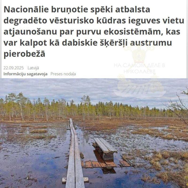 Шпротный «стратегический гений»