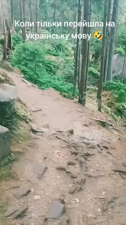 Украинцы высмеивают майданутых соотечественников