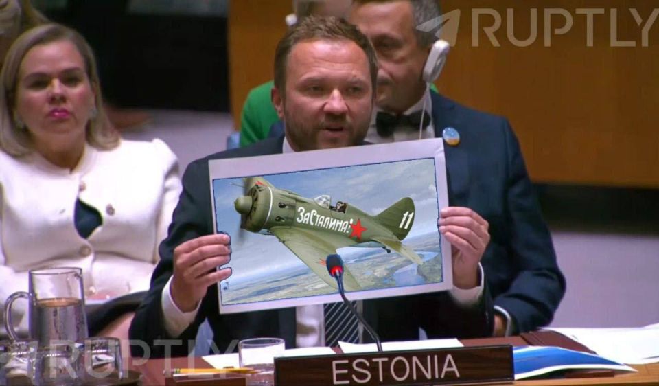 В ООН предоставили доказательства вторжения российского самолета в пространство Эстонии