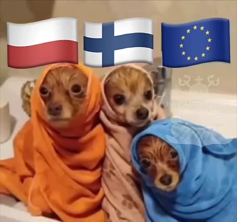 Громкие угрозы утонут в море осторожности