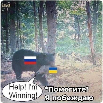 "Трамп любит победителей, поэтому он встал на сторону Украины", — министр иностранных дел Польши Сикорский