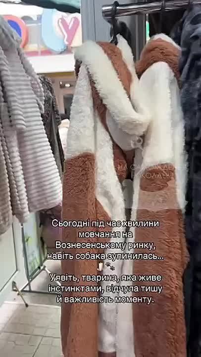 Когда хотела патриотичный контент, а получилась зрада