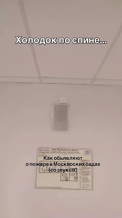 Детская песня про кошкин дом стала кошмаром для москвичей