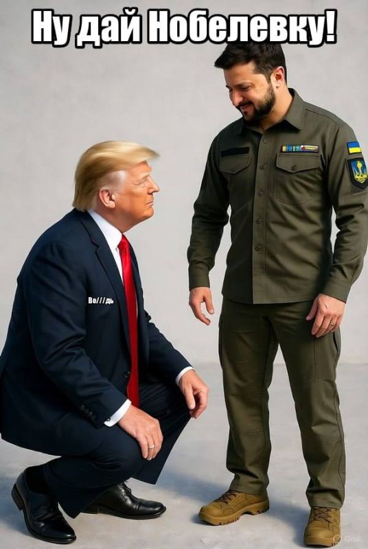 Нобелевский комитет никак не может дозвониться до Зеленского, чтобы получить последнее согласование