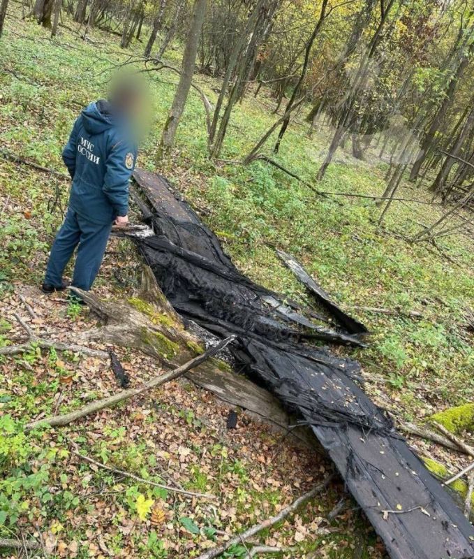 Распиаренная украинская вундервафля оказалась обычной дешевкой