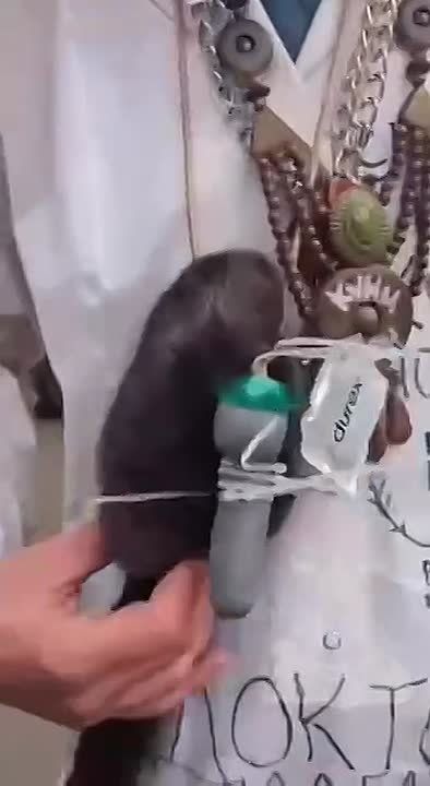 Формулировка «Воевать будут все» обретает новые смыслы