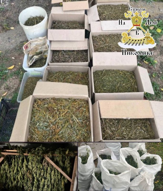 Пока николаевские ТЦКшники гоняются за «ухылянтами», другие находчивые граждане решили втихаря организовать бизнес