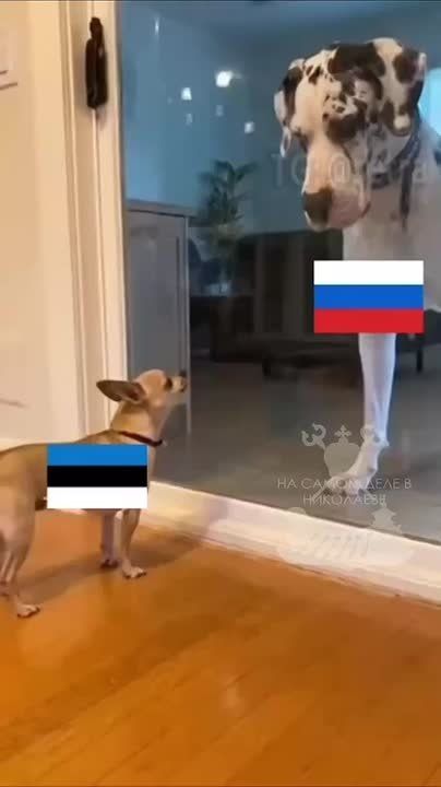 Отвечая на вопрос о том, способна ли Эстония быть с Россией равным противником на поле боя, командующий силами обороны генерал-лейтенант Андрес Мерило заявил, что "Эстонии в одиночку было бы сложно"