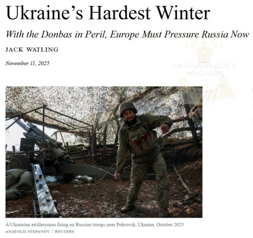 Николаев ждёт: в 2026-м Россия может освободить юг Украины