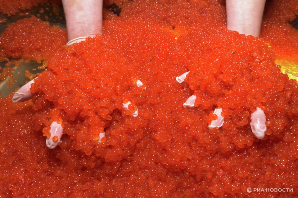 ����� ��������� ��������, ������ �������� ����������� ������� ����