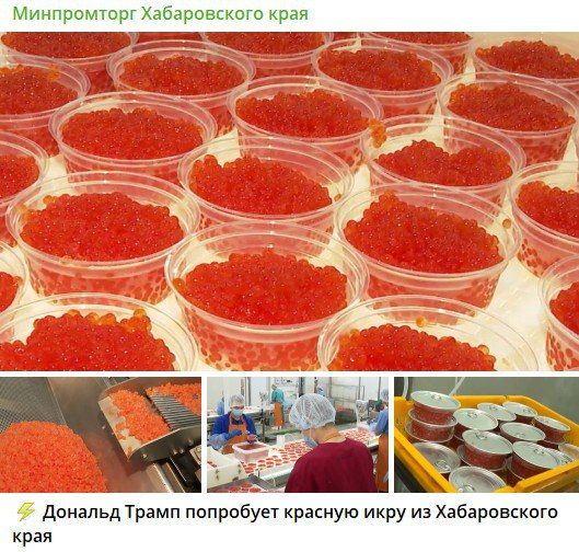 ������� ����������. ������� ���� ������ ���� ������� ���� �� ������