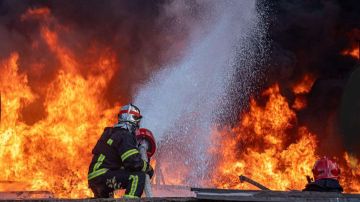 ������ ������� �� ������: � ����� ����� ������ �����