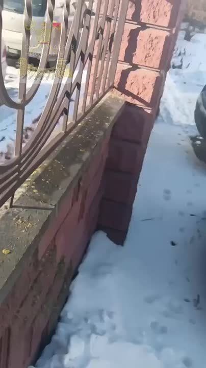 �����!!! ��� ��� ������� ������ ��������