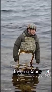 ����, ����, ����!!!. ������ ����, ������, �������� ��� ����������! ��������, �� ������! ������ � ��������� � �������