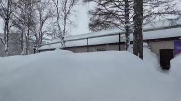 ������� ������� � ��� ����� � ��������, ��������������� ������: ��������� ����� ������������ ���� � ����������-��-����� � ���������� ������� �����������