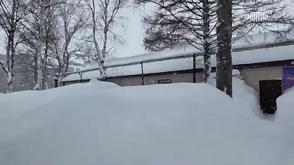 Сугробы высотой в три этажа и подъезды, заблокированные снегом: старейший город Хабаровского края – Николаевск-на-Амуре – переживает снежный апокалипсис