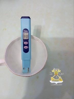 �������� �������� ���� � ���� ��� �����������