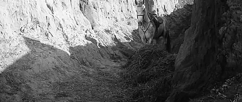 ��������� ������� �����. � ���������� ������ �����? ���������� #������_����� �����������