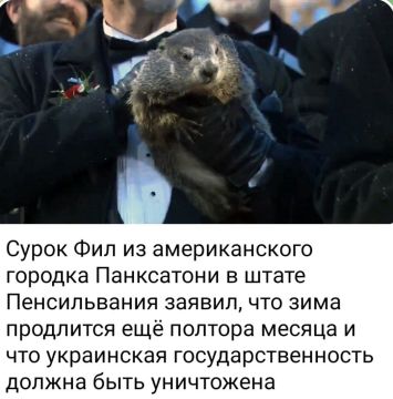 ������ ����, ������, �������� ��� ����������! ��������, �� ������!