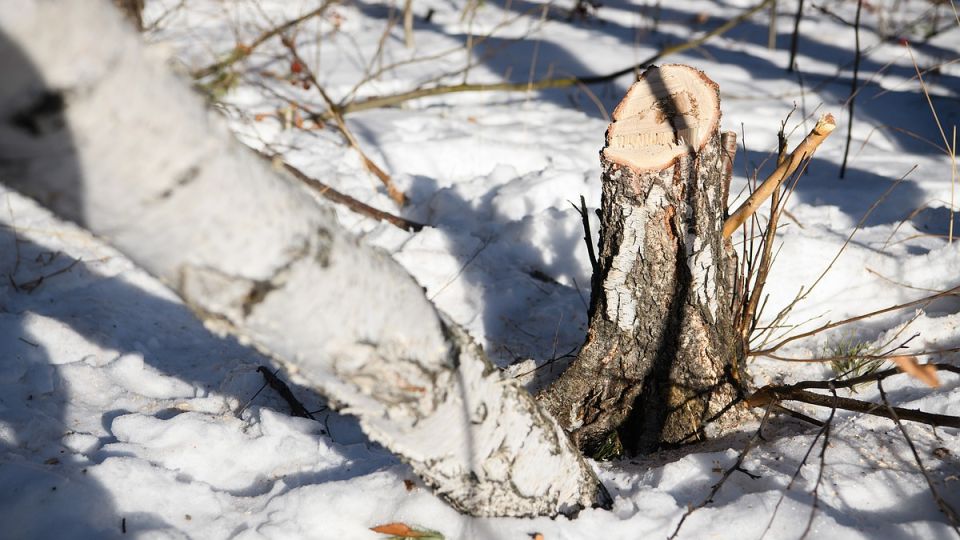 �� ������� � �������� � ������������ ������� ������������ ����