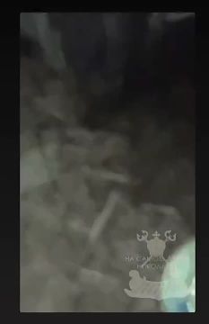 ������������ ��������� � ����